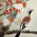 Shumei Mori Gallery
